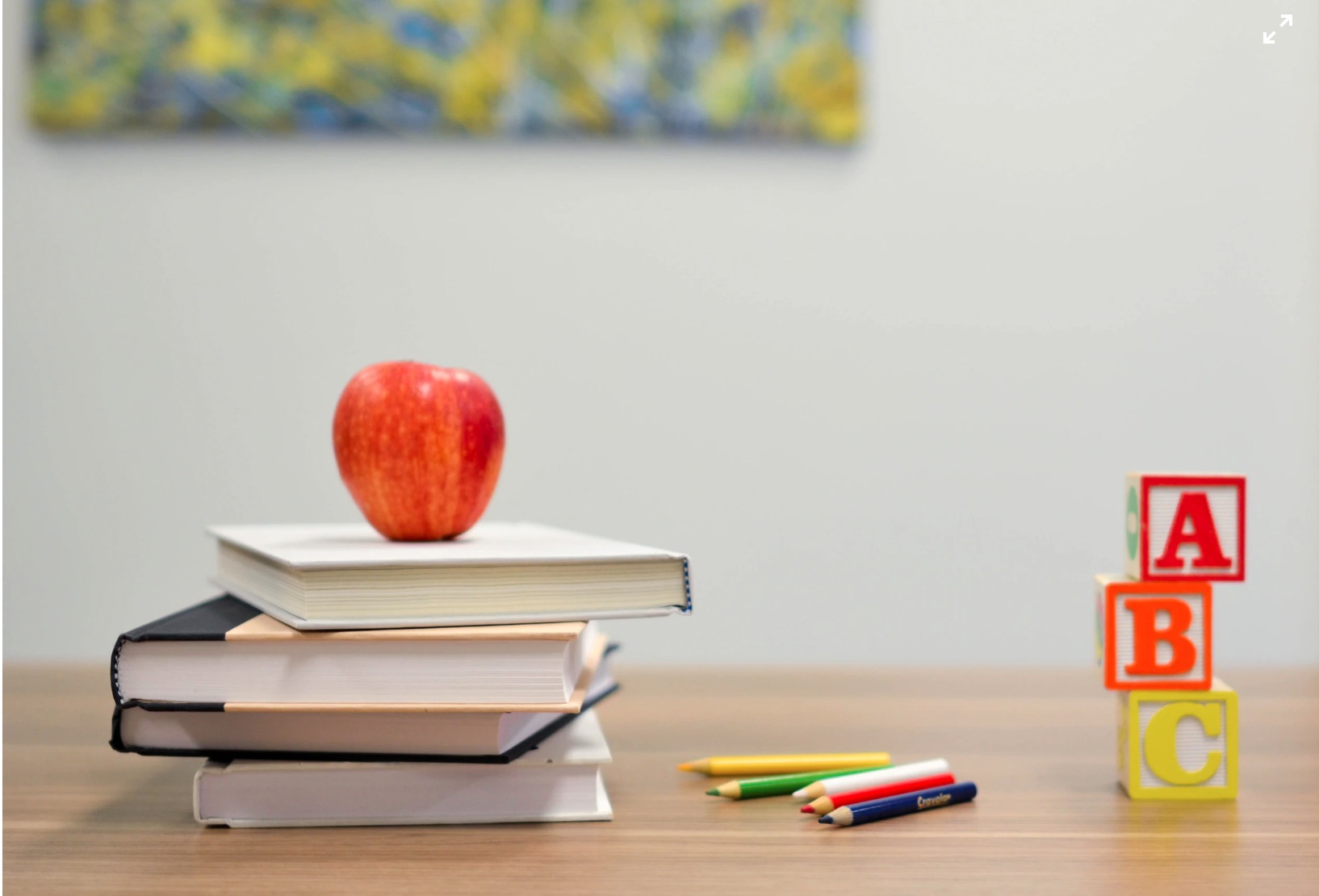 100-08: Evaluation of 9 Health and Education Projects